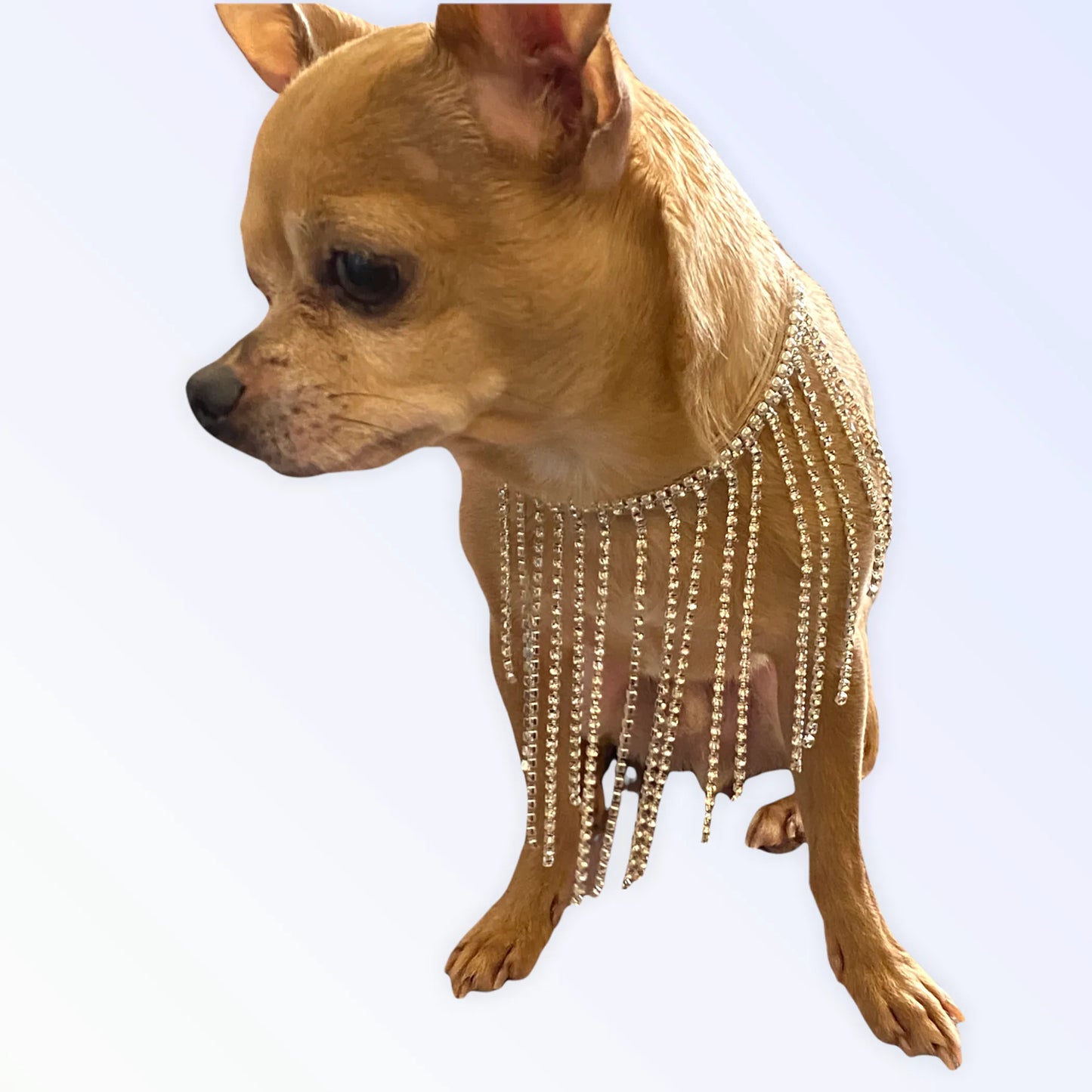 The Starlet - Crystal Diamond Fringe Collar