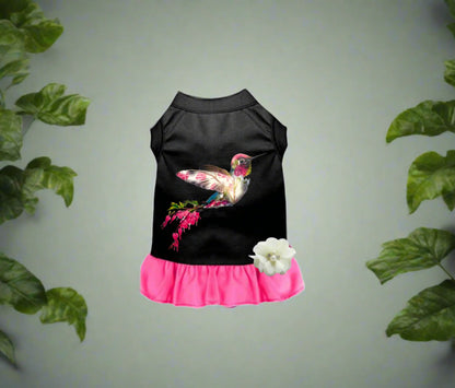 Hummingbird Summer- Dog Dress